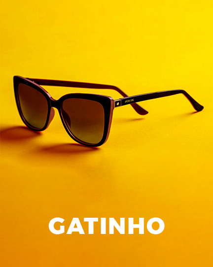 Gatinho